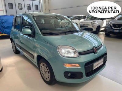 Fiat Panda 1.2 Lounge usata