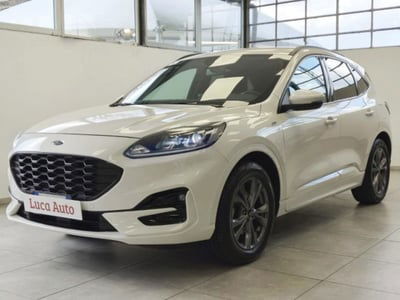 Ford Kuga 1.5 EcoBoost 150 CV 2WD ST-Line usata