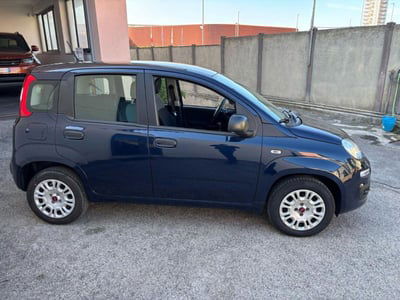 Fiat Panda 1.2 Easy usata