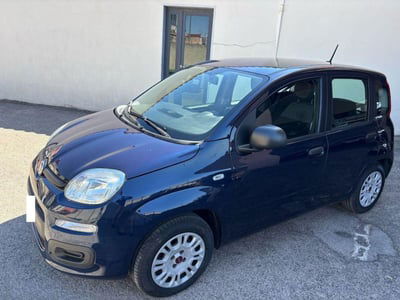 Fiat Panda 1.2 Easy usata