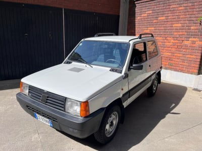 Fiat Panda 1100 i.e. cat 4x4 Trekking usata