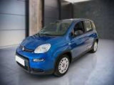 Fiat Panda 1.0 firefly hybrid s&s 70cv 5p.ti