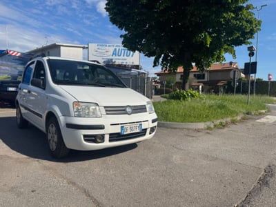 Fiat Panda 1.2 4x4 usata