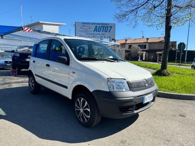 Fiat Panda 1.2 4x4 usata