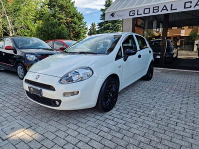 Fiat Punto 1.2 8V 5 porte Lounge usata