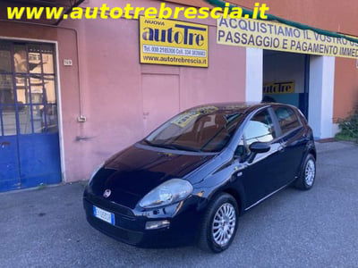 Fiat Punto 1.4 8V 5 porte Easypower Young usata
