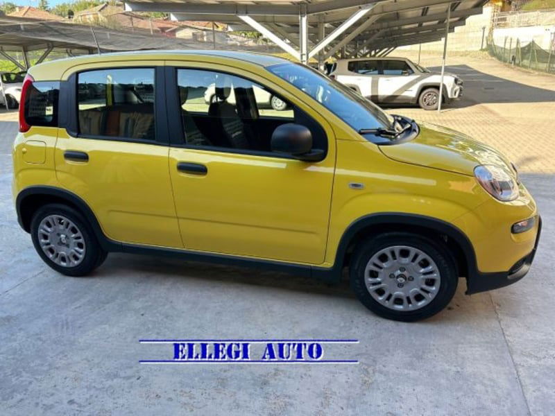 Fiat Panda 1.0 firefly hybrid s&s 70cv 5p.ti