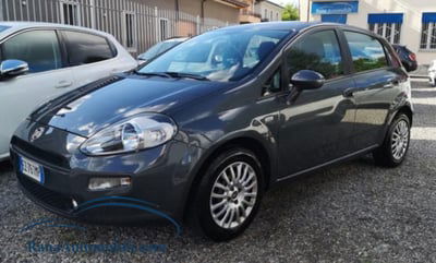 Fiat Punto 1.2 8V 5 porte Street usata