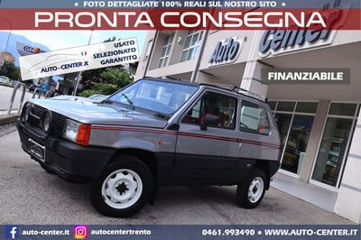 Fiat Panda Nuova 4x4 usata