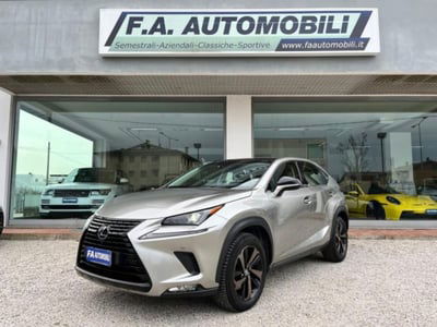 Lexus NX Hybrid 4WD Sport usata
