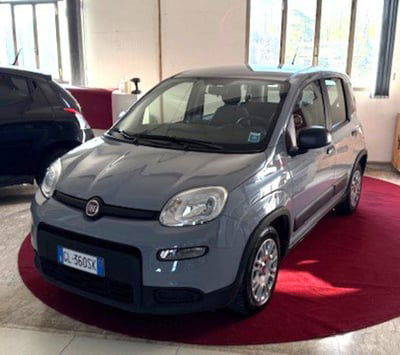 Fiat Panda Cross Cross 1.0 FireFly S&S Hybrid usata