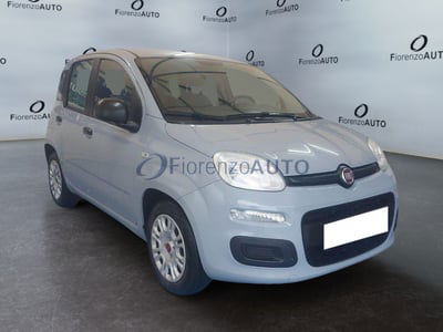Fiat Panda 1.2 Easy usata