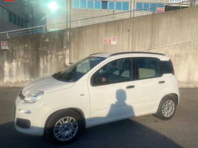 Fiat Panda 1.2 EasyPower Easy usata