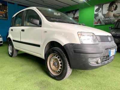 Fiat Panda 1.2 4x4 usata