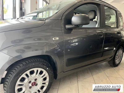 Fiat Panda 1.2 EasyPower Easy usata
