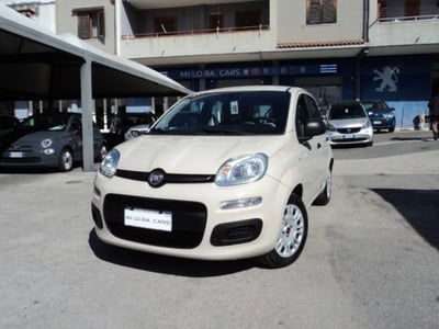 Fiat Panda 1.2 Easy usata