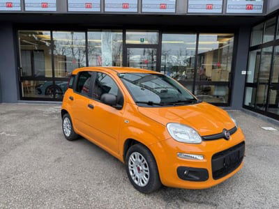 Fiat Panda 1.2 Easy Van 4 posti usata