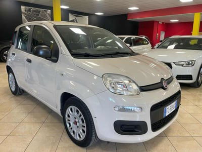 Fiat Panda 1.2 usata