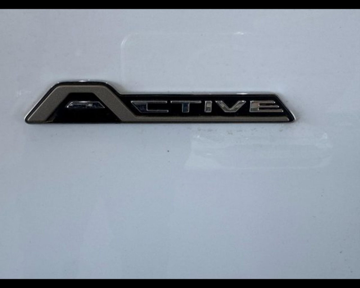 Ford Focus Station Wagon 1.5 EcoBlue 115 CV automatico SW Active Design (11)
