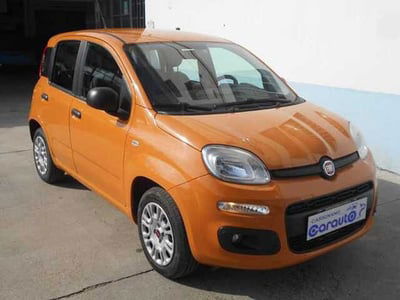 Fiat Panda 1.2 Easy usata