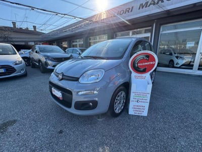 Fiat Panda 1.2 Easy usata