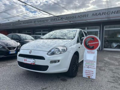 Fiat Punto 1.4 8V 5 porte Natural Power Street usata