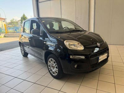 Fiat Panda 1.2 Easy usata