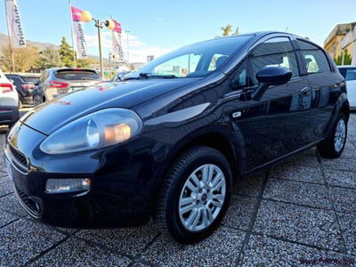 Fiat Punto 1.4 8V 5 porte Natural Power Lounge usata