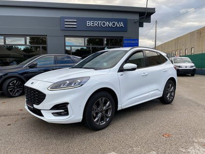 Ford Kuga 2.0 EcoBlue 120CV aut. AWD ST-Line X usata
