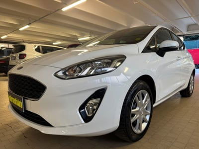 Ford Fiesta 1.1 75 CV GPL 5 porte usata