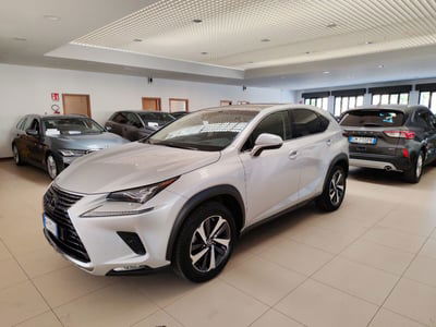Lexus NX Hybrid 4WD Luxury usata