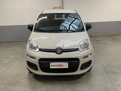 Fiat Panda 1.2 Easy usata
