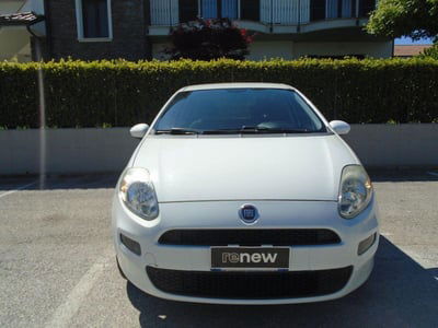 Fiat Punto 1.4 8V 5 porte Natural Power Street usata