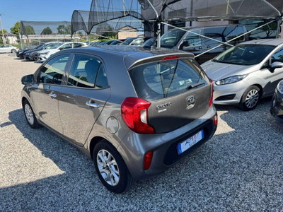 Kia Picanto 1.0 12V 5 porte Cool (4)