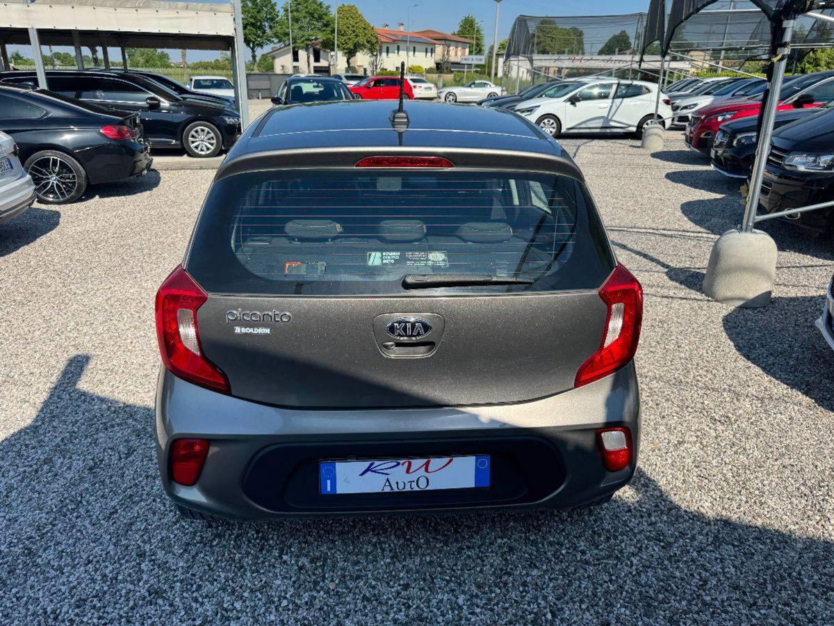 Kia Picanto 1.0 12V 5 porte Cool (6)