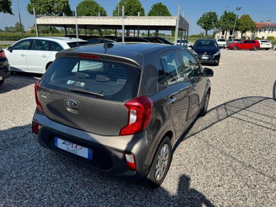Kia Picanto 1.0 12V 5 porte Cool (9)