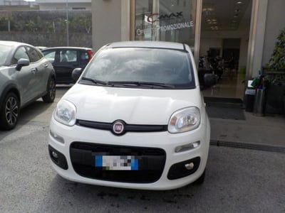 Fiat Panda 1.2 Easy usata
