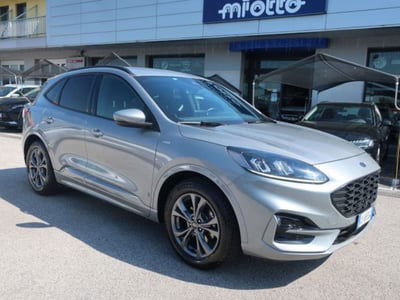 Ford Kuga 1.5 EcoBlue 120 CV aut. 2WD ST-Line X usata