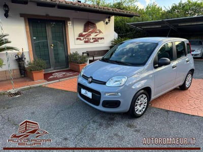 Fiat Panda 1.2 EasyPower Easy usata