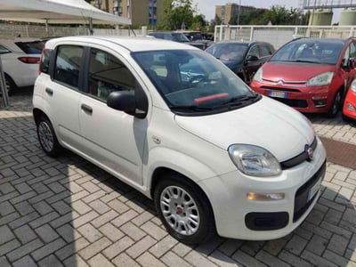 Fiat Panda 1.2 Easy usata