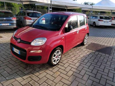 Fiat Panda 1.2 Lounge usata