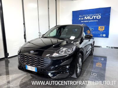 Ford Kuga 2.0 EcoBlue 120 CV aut. 2WD ST-Line X usata