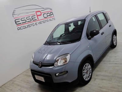Fiat Panda 1.0 firefly hybrid s&s 70cv 5p.ti usata