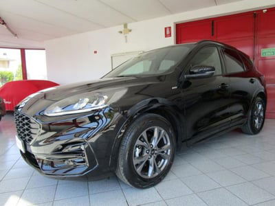 Ford Kuga 1.5 EcoBlue 120 CV 2WD ST-Line usata