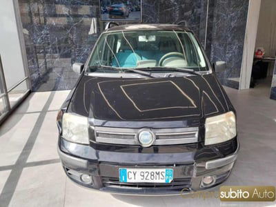 Fiat Panda 1.2 Dynamic usata