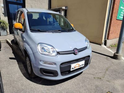 Fiat Panda 1.2 Pop usata