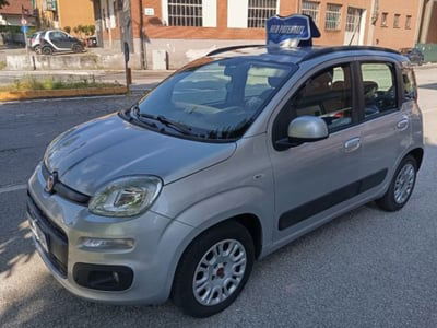 Fiat Panda 1.2 Easy usata