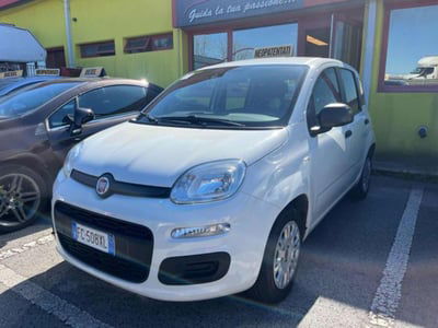 Fiat Panda 1.2 Lounge usata