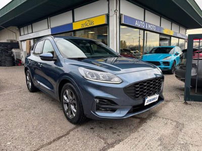 Ford Kuga 2.0 EcoBlue 120 CV aut. 2WD ST-Line X usata