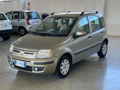 Fiat Panda 1.2 Dynamic usata